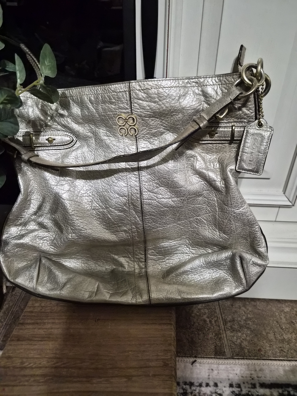 Coach Metallic Silver Goldish Leather Shoulder Bag